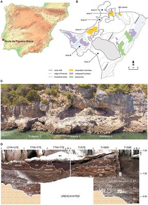 The exploitation of crabs by Last Interglacial Iberian Neanderthals: The evidence from Gruta da Figueira Brava (Portugal)